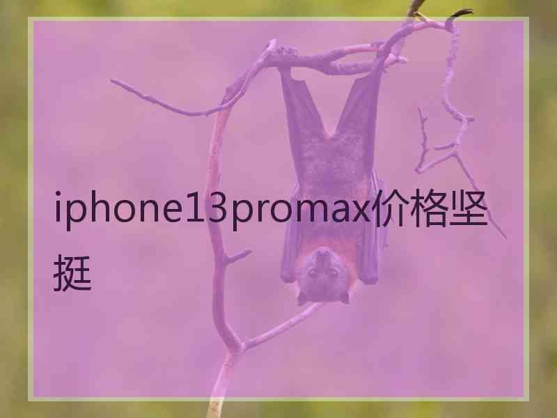 iphone13promax价格坚挺