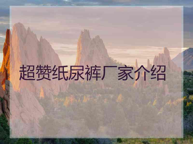 超赞纸尿裤厂家介绍