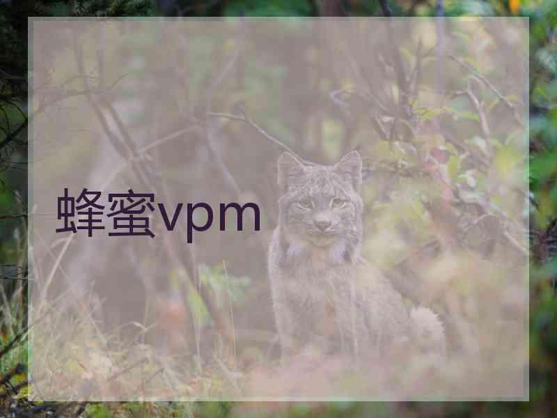 蜂蜜vpm