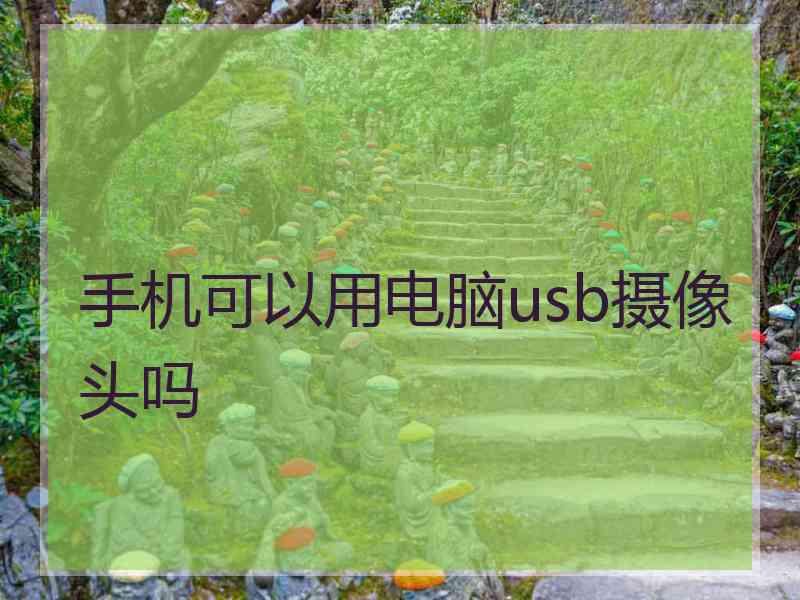 手机可以用电脑usb摄像头吗