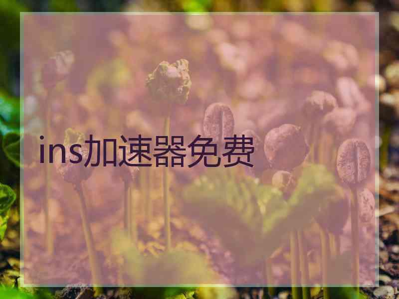 ins加速器免费