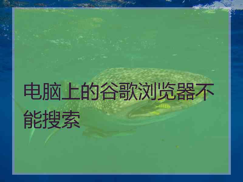 电脑上的谷歌浏览器不能搜索