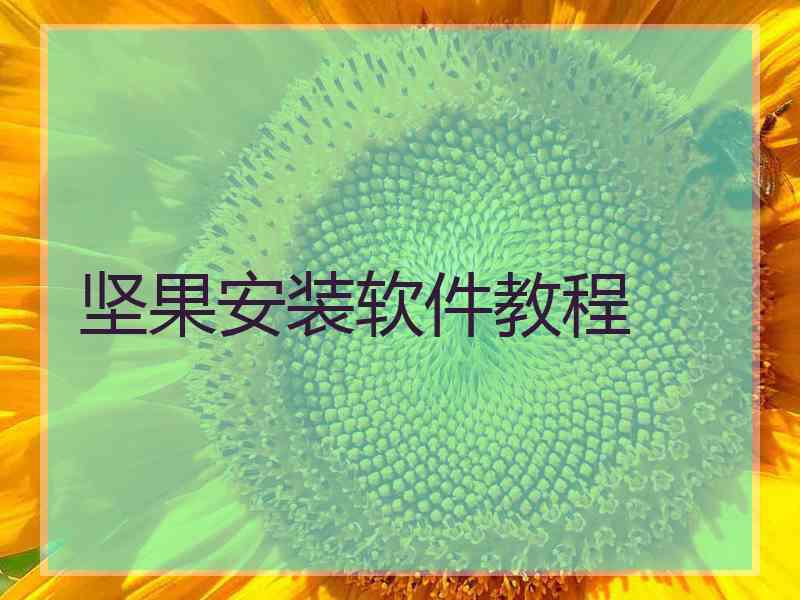 坚果安装软件教程