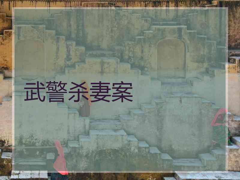 武警杀妻案