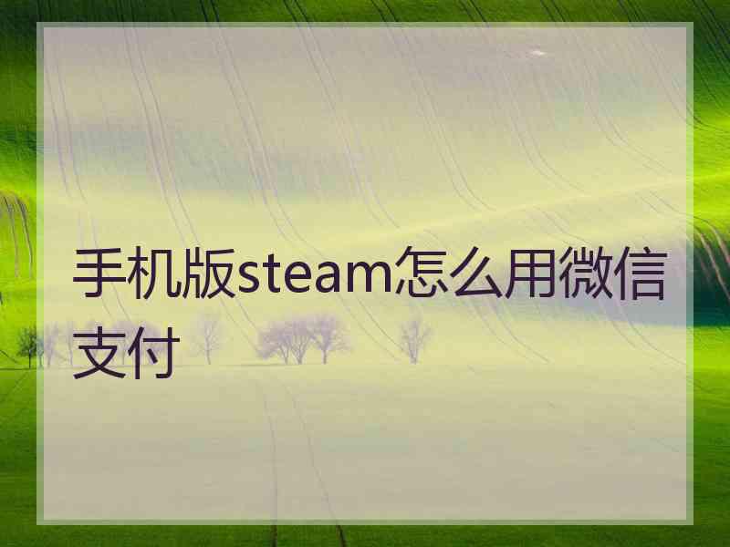 手机版steam怎么用微信支付