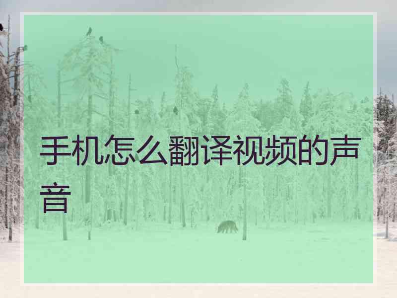 手机怎么翻译视频的声音