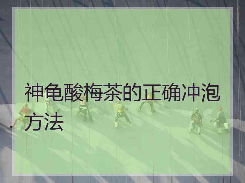神龟酸梅茶的正确冲泡方法