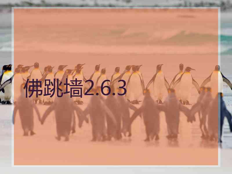佛跳墙2.6.3