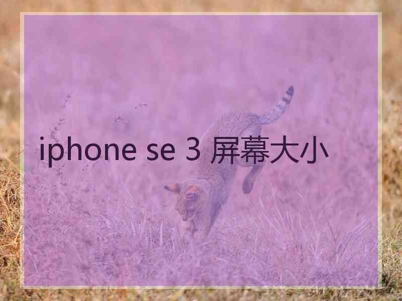 iphone se 3 屏幕大小