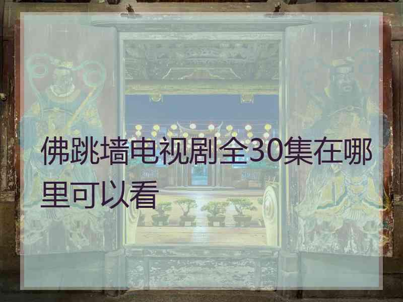 佛跳墙电视剧全30集在哪里可以看