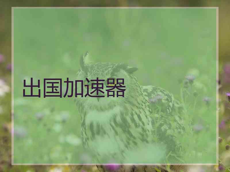出国加速器