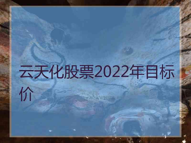 云天化股票2022年目标价