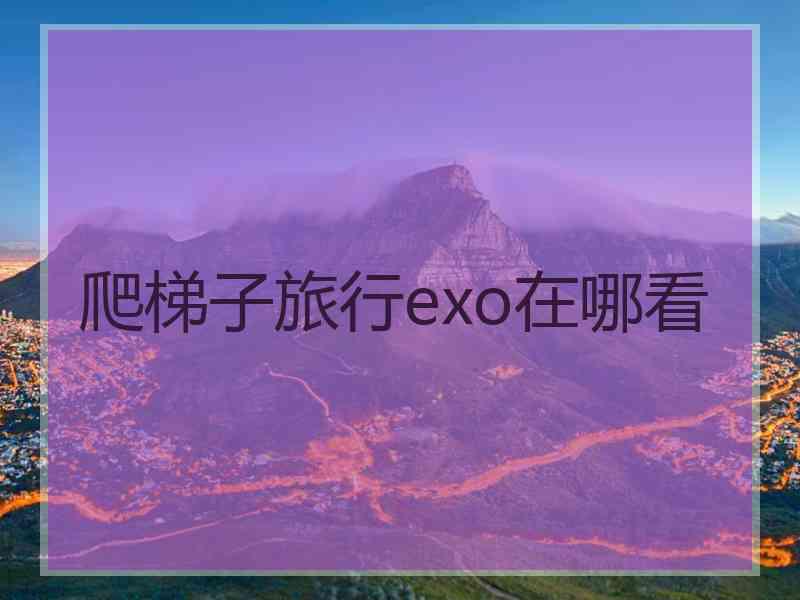 爬梯子旅行exo在哪看