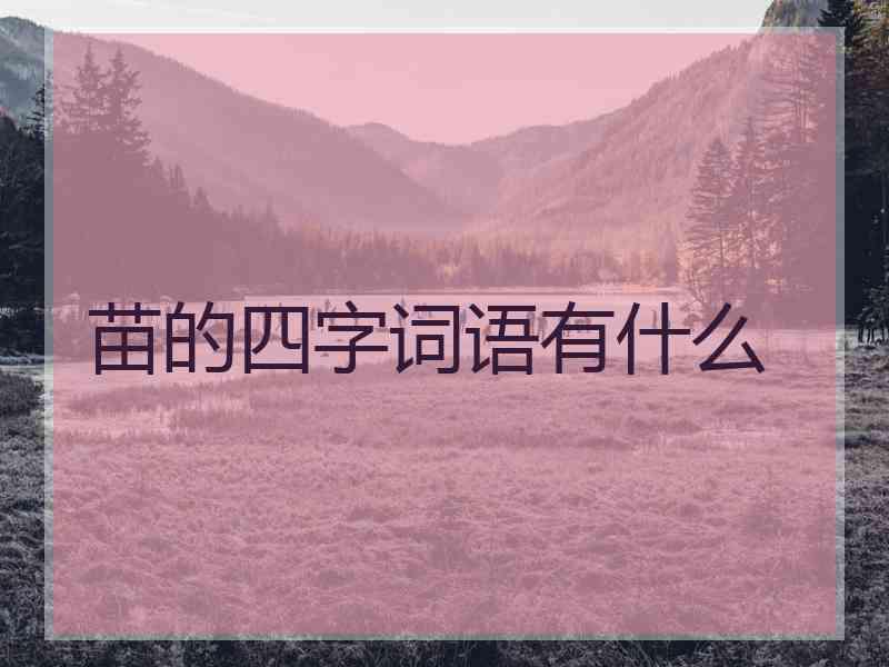 苗的四字词语有什么