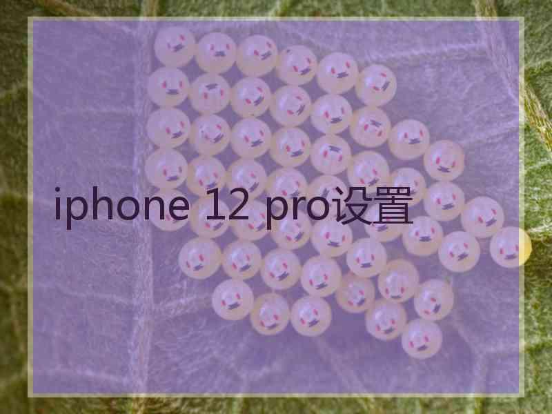iphone 12 pro设置