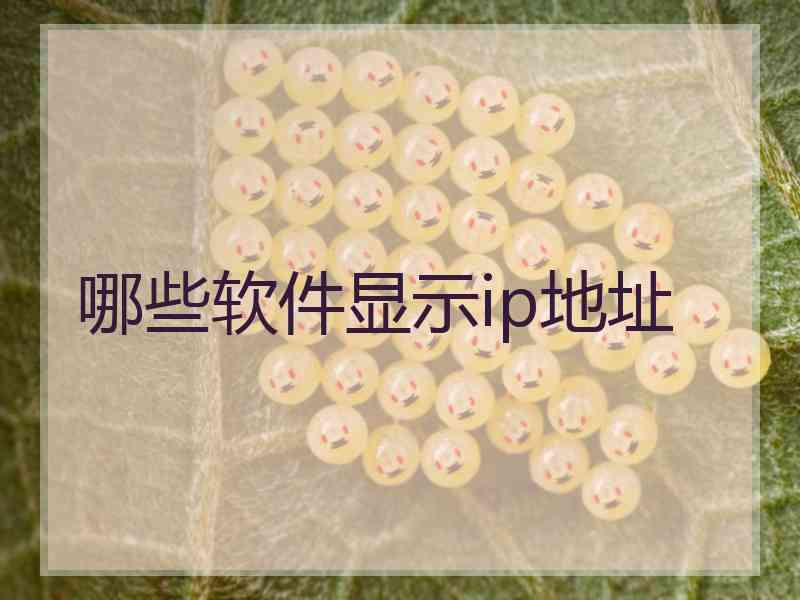 哪些软件显示ip地址