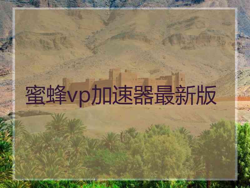 蜜蜂vp加速器最新版