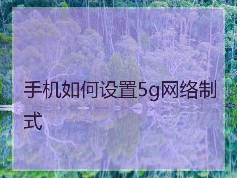 手机如何设置5g网络制式