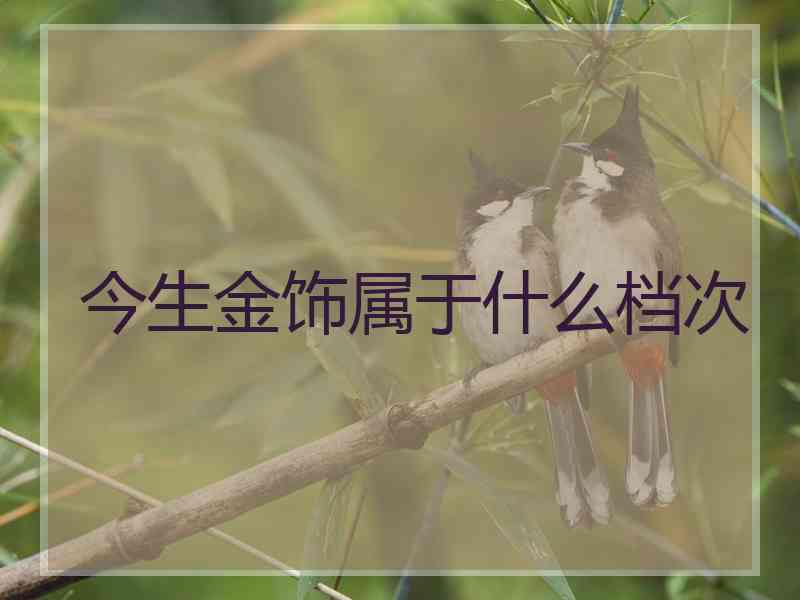 今生金饰属于什么档次