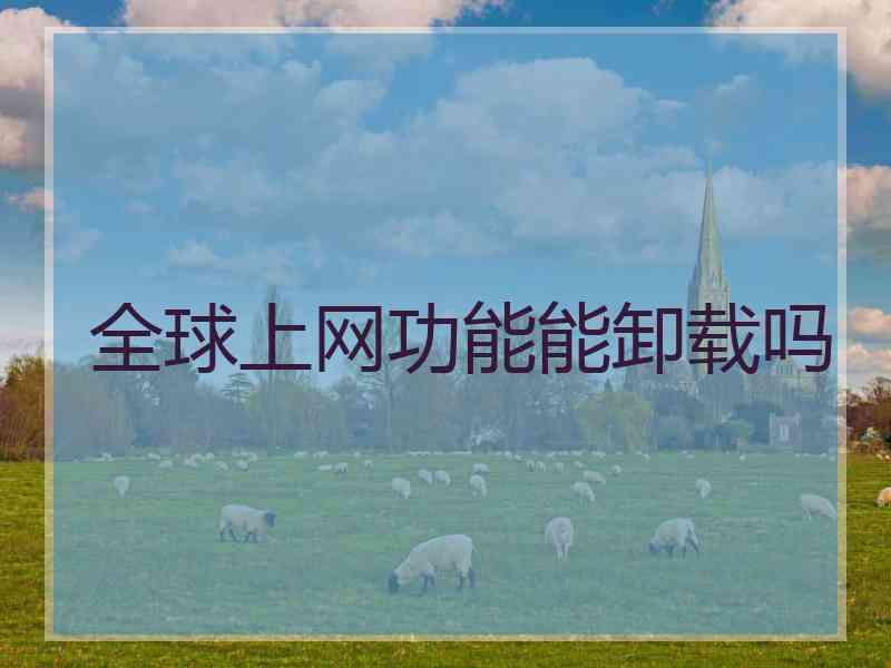 全球上网功能能卸载吗
