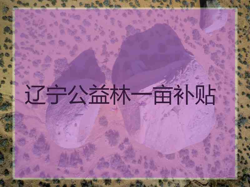 辽宁公益林一亩补贴