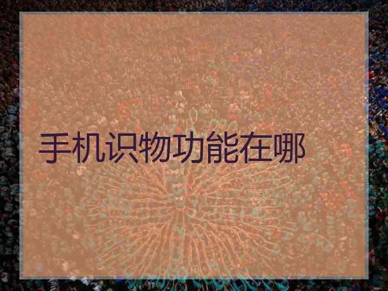 手机识物功能在哪