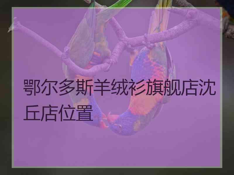 鄂尔多斯羊绒衫旗舰店沈丘店位置