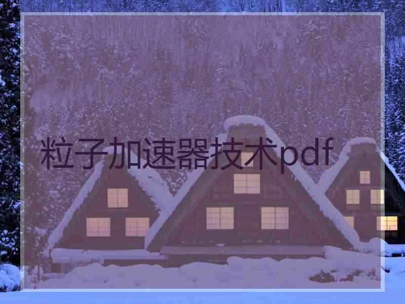 粒子加速器技术pdf