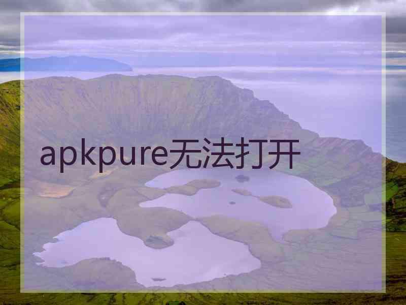 apkpure无法打开
