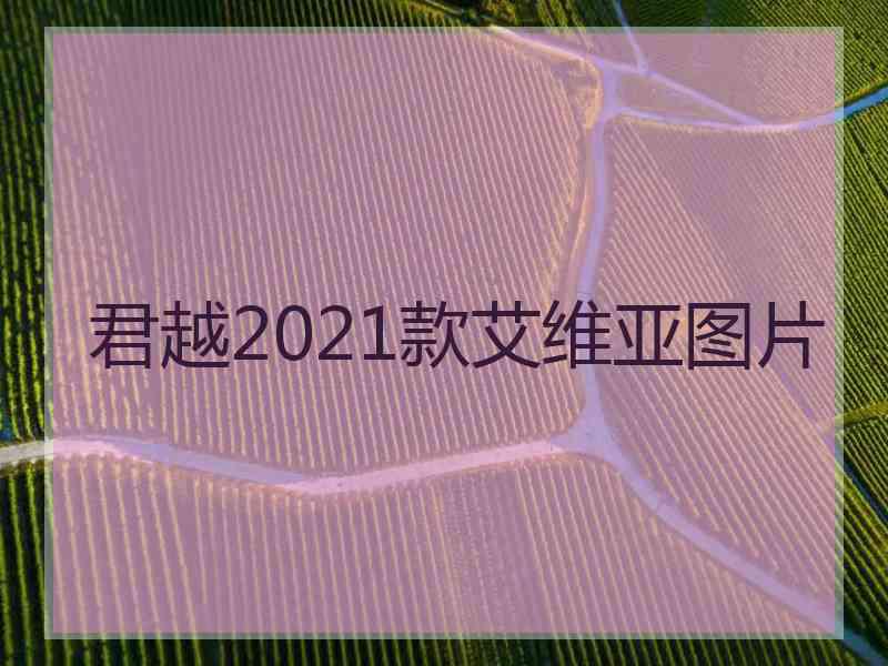 君越2021款艾维亚图片