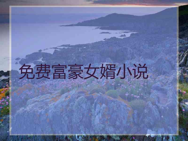 免费富豪女婿小说