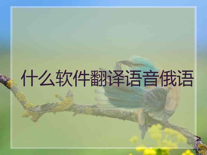 什么软件翻译语音俄语