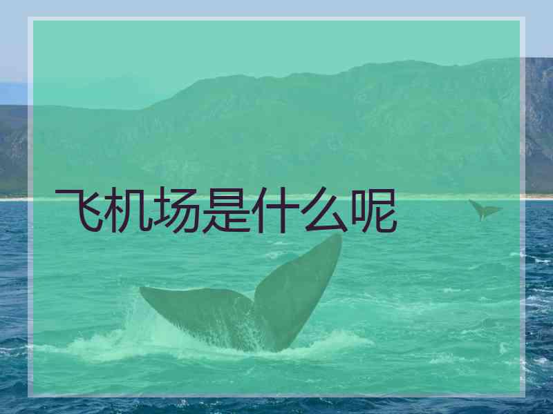 飞机场是什么呢