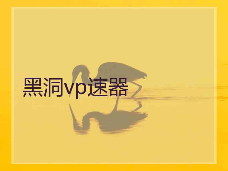 黑洞vp速器