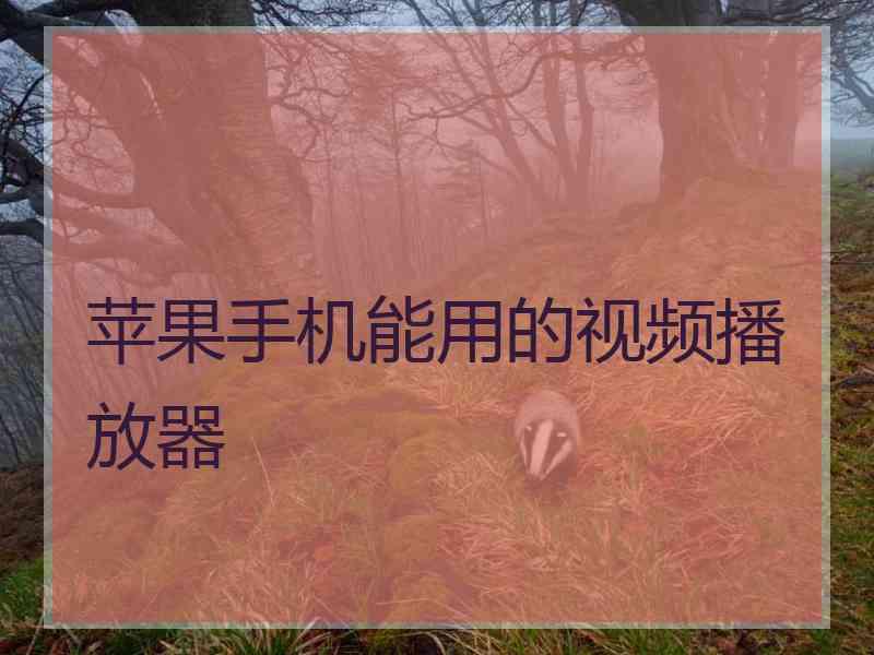 苹果手机能用的视频播放器