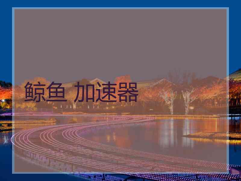 鲸鱼 加速器