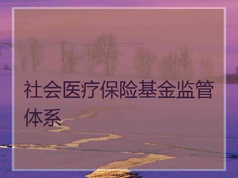 社会医疗保险基金监管体系