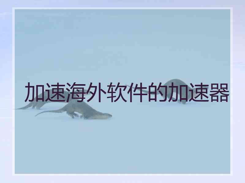 加速海外软件的加速器