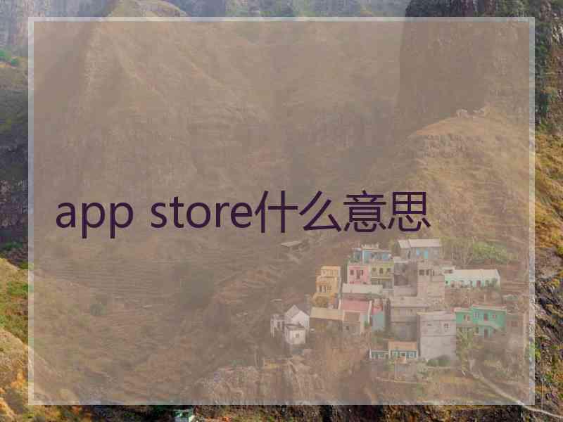 app store什么意思