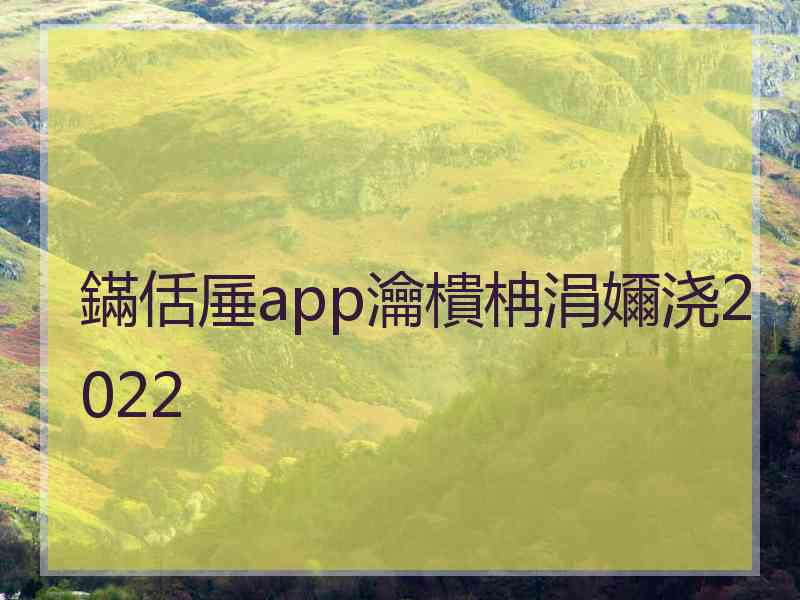 鏋佸厜app瀹樻柟涓嬭浇2022
