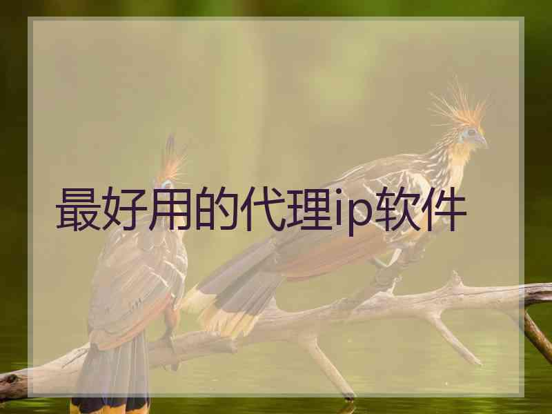 最好用的代理ip软件