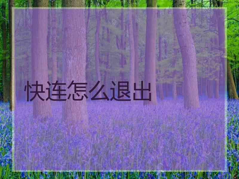 快连怎么退出