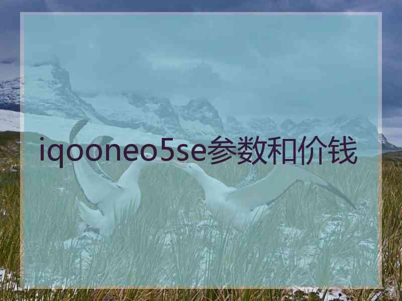 iqooneo5se参数和价钱