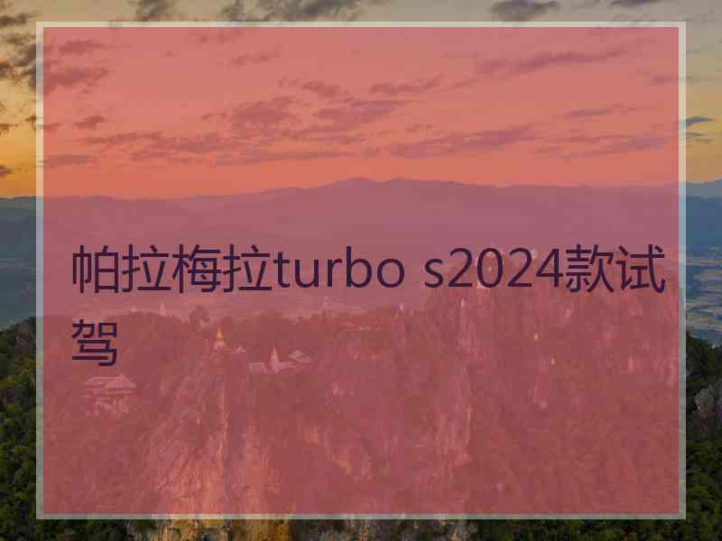 帕拉梅拉turbo s2024款试驾