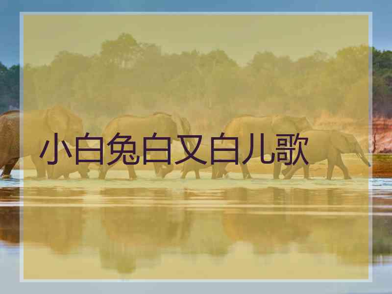 小白兔白又白儿歌