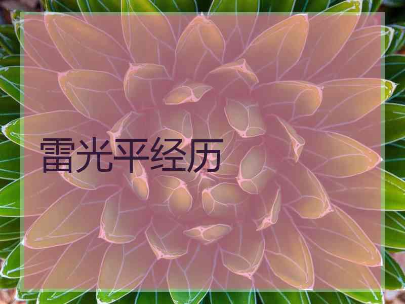 雷光平经历
