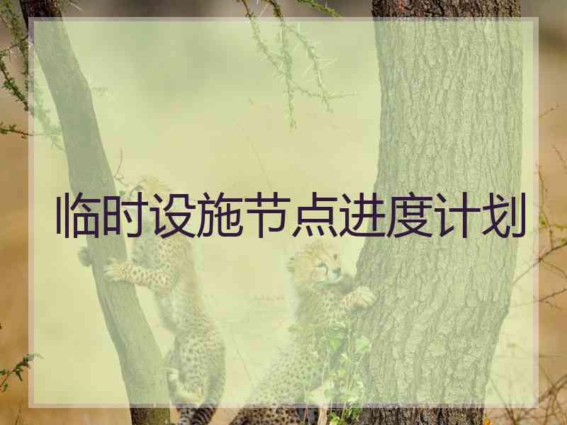 临时设施节点进度计划