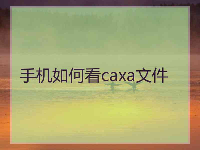 手机如何看caxa文件