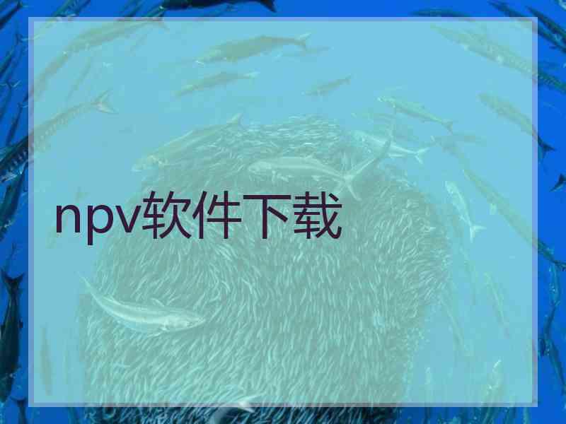 npv软件下载
