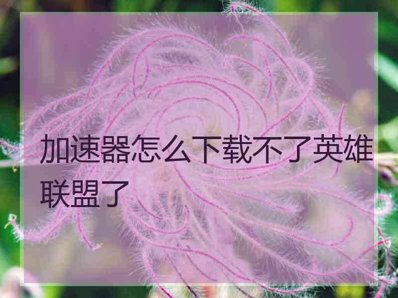 加速器怎么下载不了英雄联盟了